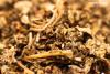 Close of up of synthetic cannabinoids
