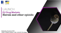 Starting slide of the webinar launching the EU Drug Markets module on heroin and other opioids