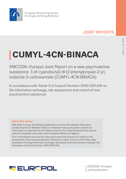 report cover page
